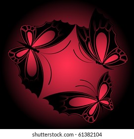 beautiful butterfly for a design