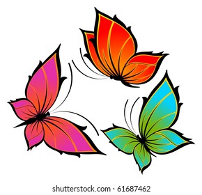 beautiful butterfly for a design