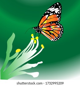 BEAUTIFUL BUTTERFLY DESIGN, ORANGE COLOR