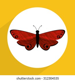 beautiful butterfly design, vector illustration eps10 graphic 