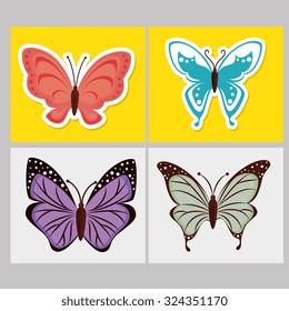 beautiful butterfly design, vector illustration eps10 graphic 