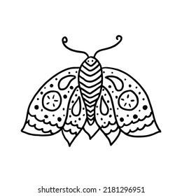 Beautiful butterfly in doodle style. Hand drawn cute flying moth vector illustration.