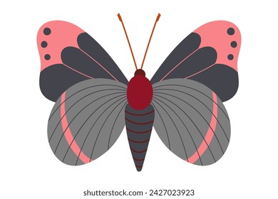 Beautiful Butterfly. Drawing of insect with red and gray wings. Exotic spring insect vector isolated on white background. Hand drawn sketch element. Beautiful insect in flight Illustration