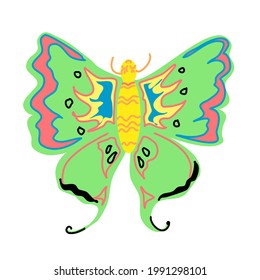 A beautiful butterfly with green wings. Isolated element on a white background.
