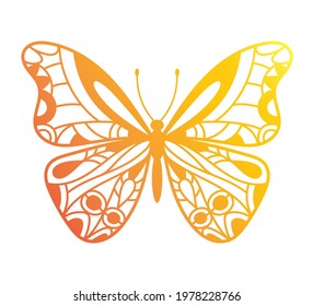 Beautiful Butterfly hand drawn ornamental artistic print, tattoo design, vintage style art, vector illustration, isolated on white