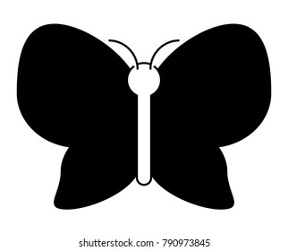 beautiful butterfly icon