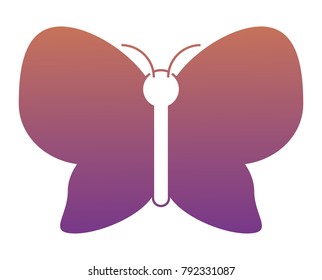 beautiful butterfly icon