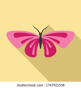 Hermoso icono de la mariposa. Ilustración plana del hermoso icono vector de mariposa para el diseño web