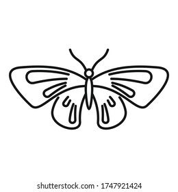 Beautiful butterfly icon. Outline beautiful butterfly vector icon for web design isolated on white background