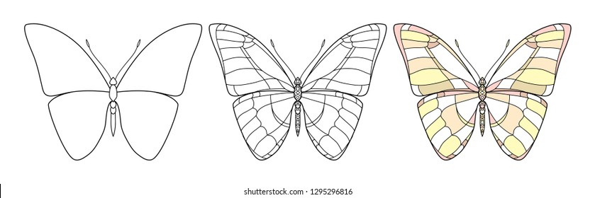 Beautiful butterfly icon. Vector set illustration is isolated on a white background. Insects art. Decorative element with for design.