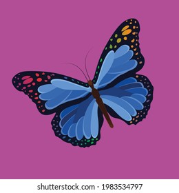 beautiful butterfly illustration icon image 