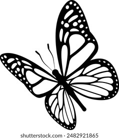 Beautiful butterfly illustration in vector format