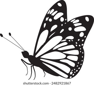 Beautiful butterfly illustration in vector format