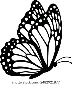 Beautiful butterfly illustration in vector format