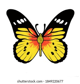 Beautiful Butterfly image stock vector 