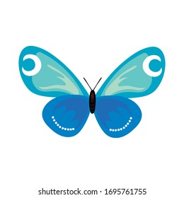 beautiful butterfly insect blue flat style icon vector illustration design