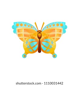 Beautiful butterfly insect vector Illustration on a white background