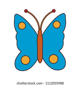 Beautiful butterfly isolated