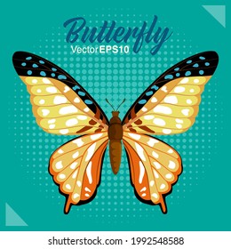 Beautiful butterfly isolated on color background, Vector illustration