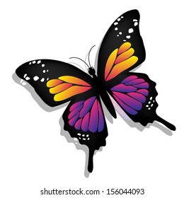 Beautiful butterfly, isolated on white background 