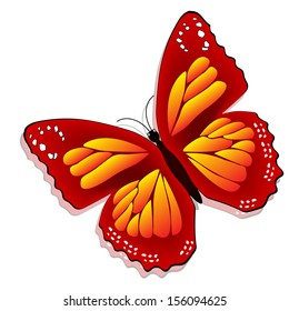 Beautiful butterfly, isolated on white background 