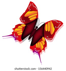 Beautiful butterfly isolated on white background