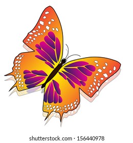 Beautiful butterfly isolated on white background 