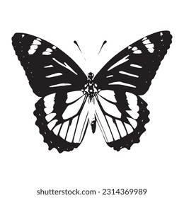 Beautiful butterfly isolated on white background. Black and white moth closeup view vector art illustration