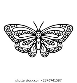 Beautiful butterfly isolated on white background. line. Insect. Vector illustration