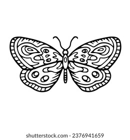 Beautiful butterfly isolated on white background. line. Insect. Vector illustration