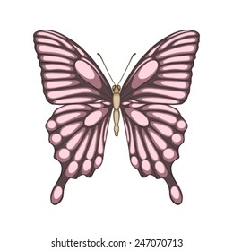 Beautiful butterfly isolated on white.