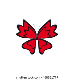beautiful butterfly isolated on a white