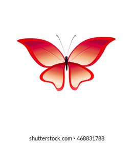 beautiful  butterfly isolated on a white