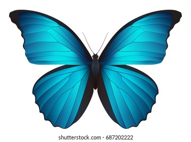 Beautiful butterfly isolated on a white background. Vector 3D illustration