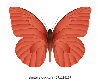 Beautiful butterfly isolated on a white background. Appias nero butterfly. 3D illustration