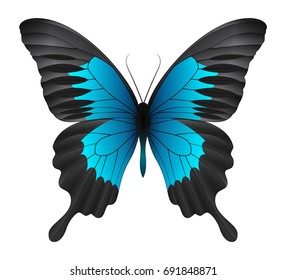 Beautiful butterfly isolated on a white background. Montrouzieri butterfly butterfly. 3D illustration