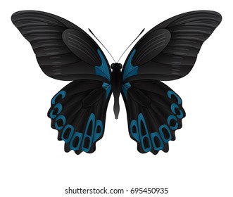 Beautiful butterfly isolated on a white background. Rumanzovia scarlet Mormon butterfly. 3D illustration