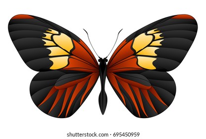 Beautiful butterfly isolated on a white background. Longwings or heliconians butterfly. 3D illustration