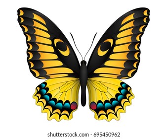 Beautiful butterfly isolated on a white background. Madagascar emperor swallowtail butterfly. 3D illustration