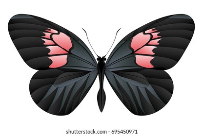 Beautiful butterfly isolated on a white background. Longwings or heliconians butterfly. 3D illustration