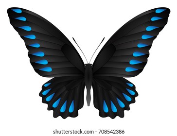 Beautiful butterfly isolated on a white background. Ornithoptera brookiana butterfly. 3D illustration