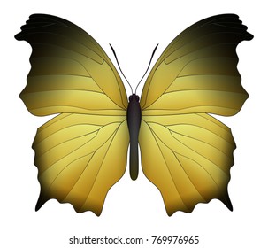 Beautiful butterfly isolated on a white background. Salamis or mother of pearls butterfly. 3D illustration