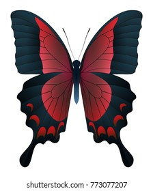 Beautiful butterfly isolated on a white background. Papilio pericles butterfly. 3D illustration