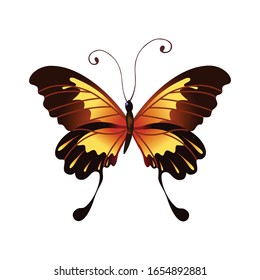 Beautiful Butterfly isolated vector, butterfly vector icon logo design