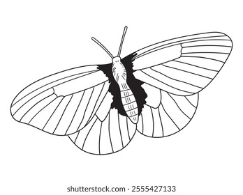 Beautiful butterfly line art in black and white, great for coloring pages, printables, and art projects. A perfect choice for kids and adults alike