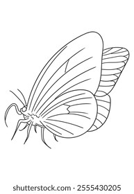 Beautiful butterfly line art in black and white, great for coloring pages, printables, and art projects. A perfect choice for kids and adults alike