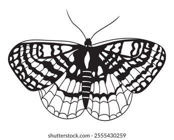 Beautiful butterfly line art in black and white, great for coloring pages, printables, and art projects. A perfect choice for kids and adults alike