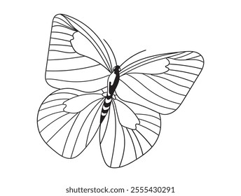 Beautiful butterfly line art in black and white, great for coloring pages, printables, and art projects. A perfect choice for kids and adults alike