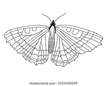 Beautiful butterfly line art in black and white, great for coloring pages, printables, and art projects. A perfect choice for kids and adults alike