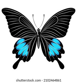 Beautiful butterfly for a logo. Vector illustration.

